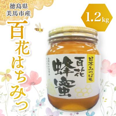 ふるさと納税 美馬市 徳島県馬市産日本はちみつ 百花はちみつ 1200g