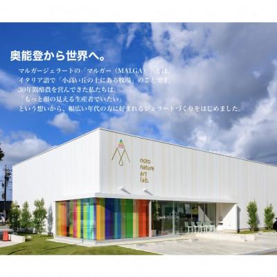 ふるさと納税 野々市市 【国内外で数々の受賞歴をもつジェラート店】受賞・まるごと能登ジェラート　8個_2