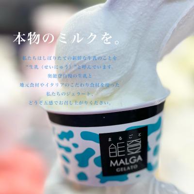 ふるさと納税 野々市市 【国内外で数々の受賞歴をもつジェラート店】受賞・まるごと能登ジェラート　12個 |  | 01