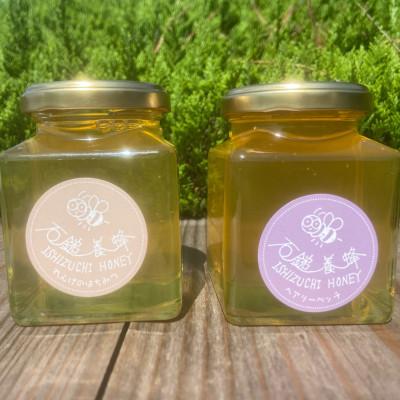 ふるさと納税 西条市 愛媛県西条市産 石鎚養蜂の「百花はちみつ」2個セット (れんげ・ヘアリーベッチ)