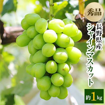 ふるさと納税 高森町 [氷温貯蔵]長野県産・シャインマスカット(約1kg)秀品