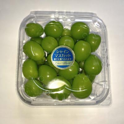 ふるさと納税 西条市 ご家庭用 手摘みシャインマスカット(パック入り)4パック約1.2kg[2026年8月下旬〜順次発送]