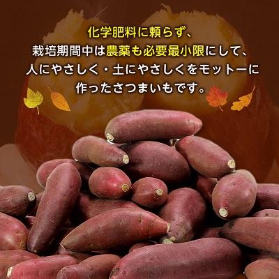 ふるさと納税 香取市 【訳あり】香取市産 さつまいも紅はるか 約5kg×1 |  | 01