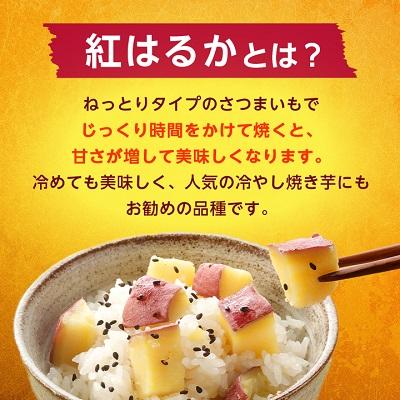 ふるさと納税 香取市 【訳あり】香取市産 さつまいも紅はるか 約5kg×1 |  | 02