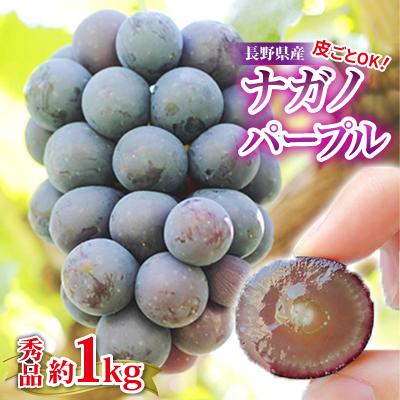 ふるさと納税 飯田市 [皮ごとOK!]長野県産・種なしナガノパープル(約1kg) 秀品[2026年8月下旬〜10月上旬発]