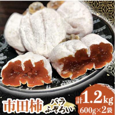 ふるさと納税 飯田市 南信州の名産品　市田柿　600g×2袋セット　バラふぞろい | 