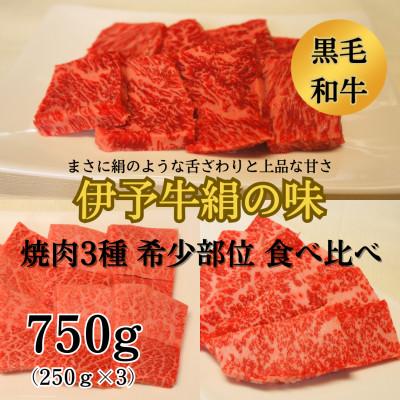 ふるさと納税 西条市 ★希少部位★ 伊予牛絹の味 焼肉おまかせ3種盛 750g(250g×3)
