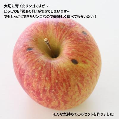 ふるさと納税 松川町 りんご サンふじ(長野県産訳あり品) 10kg【2027年1月上旬〜2月上旬頃発送予定】 |  | 01