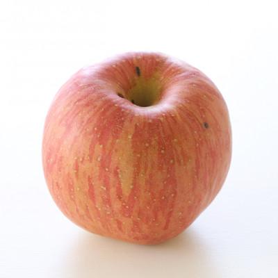 ふるさと納税 松川町 りんご サンふじ(長野県産訳あり品) 10kg【2027年1月上旬〜2月上旬頃発送予定】 |  | 02