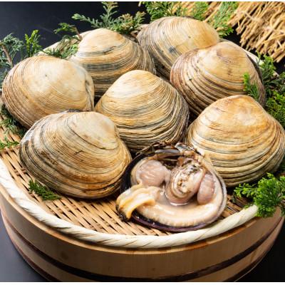 ふるさと納税 南知多町 愛知県三河湾産の秀品天然大あさり 8切入(1kg)[CAS冷凍/下処理済]訳あり