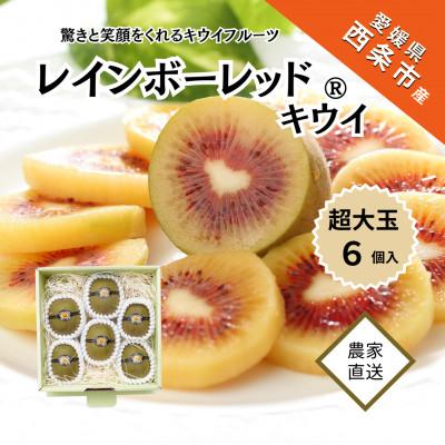 ふるさと納税 西条市 輝らり果樹園の「レインボーレッド(R)キウイ」(プレミアムサイズ6個)2025年11月下旬〜発送予定