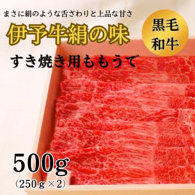 ふるさと納税 西条市 伊予牛絹の味 すき焼き用もも・うで 500g(250g×2)