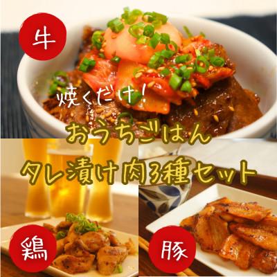 ふるさと納税 西条市 おうちごはんタレ漬け肉3種セット (伊予牛カルビ、豚バラ、おつまみ鶏ハラミ)