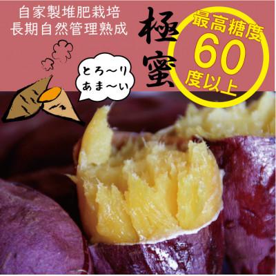 ふるさと納税 南大隅町 感動さつまいも(熟成紅はるか)【冷凍焼芋】500g×5パック_3