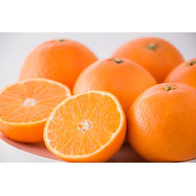 ふるさと納税 西条市 [先行受付]紅まどんな(JA東予園芸またはJA周桑) L〜4Lサイズ 約3kg