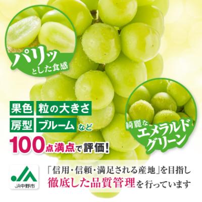 ふるさと納税 中野市 【2026年発送】訳ありシャインマスカット3房1.3kg以上　ご自分へのご褒美　JA中野市から産直 |  | 02