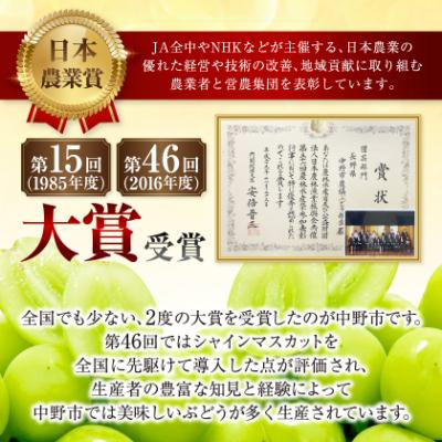 ふるさと納税 中野市 【2026年発送】訳ありシャインマスカット3房1.3kg以上　ご自分へのご褒美　JA中野市から産直 |  | 03