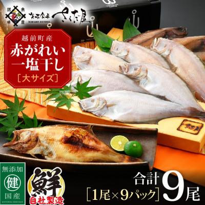 ふるさと納税 越前町 越前干物 赤がれい一塩干し 大サイズ(1尾×9パック入り)