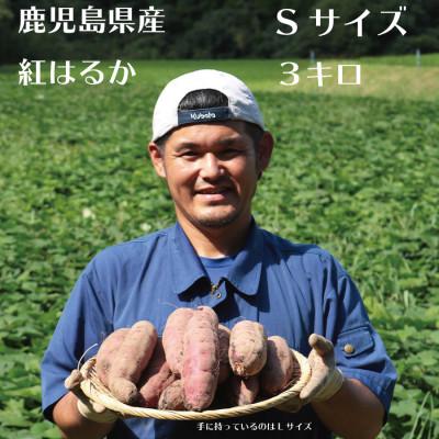ふるさと納税 南大隅町 [先行予約]さつまいもファン必見!鹿児島産『紅はるか』をいち早くお届け Sサイズ3キロ