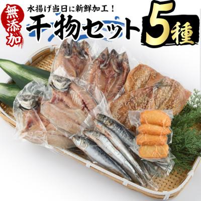 ふるさと納税 長島町 浜のかあちゃん 干物5種セット_hama-7068