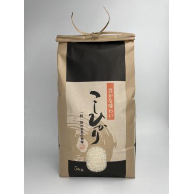ふるさと納税 新庄市 [先行受付]山形県産米 コシヒカリ5kg