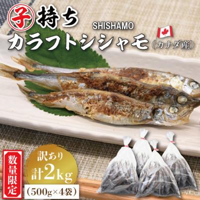 ふるさと納税 大洗町 [数量限定!]子持ちカラフトシシャモ2kg(訳アリ品)