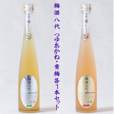 ふるさと納税 かすみがうら市 梅酒八代 つゆあかね・青梅各1本セット