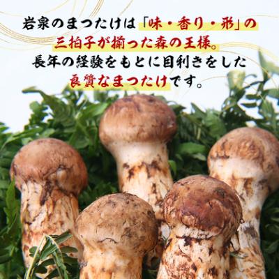 ふるさと納税 岩泉町 【2026秋発送】岩泉まつたけ 直送 500g_2