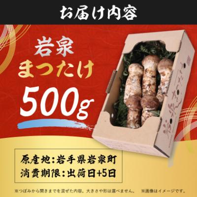 ふるさと納税 岩泉町 【2026秋発送】岩泉まつたけ 直送 500g_3