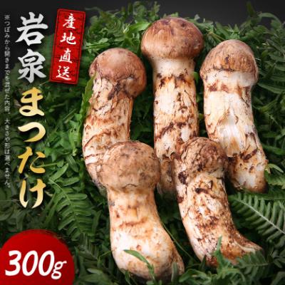 ふるさと納税 岩泉町 [2026秋発送]岩泉まつたけ 直送 300g
