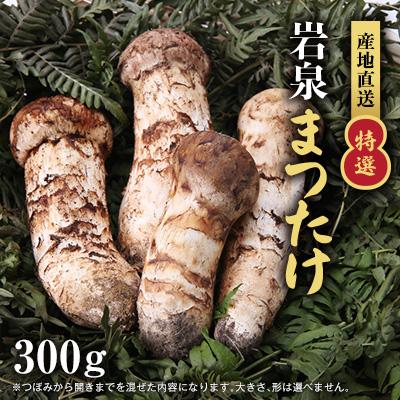 ふるさと納税 岩泉町 [2026秋発送][特選]岩泉まつたけ 直送 300g