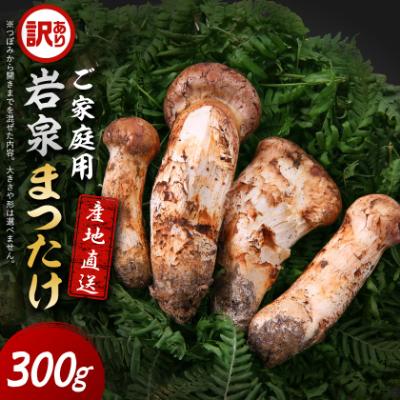 ふるさと納税 岩泉町 [2026秋発送][訳あり]ご家庭用 岩泉まつたけ 直送 300g