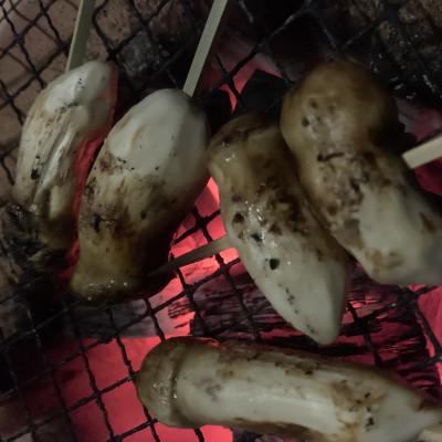 ふるさと納税 岩泉町 [2026年]秋発送・岩泉産・松茸コロ 150g