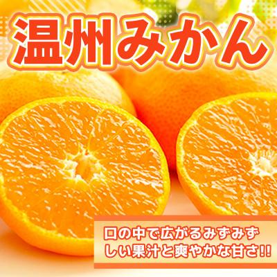 ふるさと納税 吉野ヶ里町 吉野ヶ里町産 温州みかん 約2.5kg | 