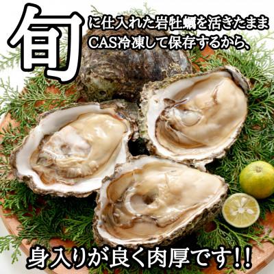ふるさと納税 南知多町 XXL・天然岩牡蠣600g(1個・殻付き・生食用岩ガキの特上品)CAS冷凍カキ 海鮮バーベキューに_3
