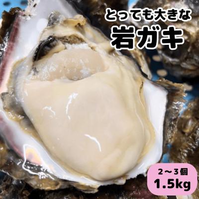 ふるさと納税 南知多町 XXLサイズ!天然岩牡蠣/特上1.5kg(2〜3コ/殻付き生食用)CAS冷凍カキ 海鮮バーベキューに
