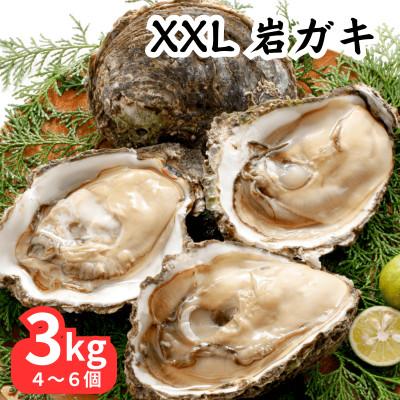 ふるさと納税 南知多町 XXLサイズ!天然岩牡蠣3kg(4〜6個・特上・殻付き生食用)CAS冷凍カキ 海鮮バーベキューに!