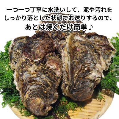 ふるさと納税 南知多町 XXLサイズ!天然岩牡蠣6kg(7〜12個・特上殻付き生食用)CAS冷凍カキ 海鮮バーベキューに!_2