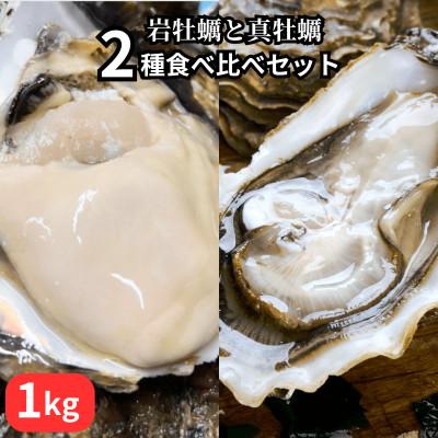 ふるさと納税 南知多町 篠島2種の天然殻付きカキ1kg(岩牡蠣&amp;真牡蠣)食べ比べセット 生食用/CAS冷凍 海鮮BBQに