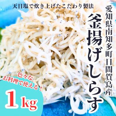 ふるさと納税 南知多町 日間賀島直送 釜揚げしらす 1kg