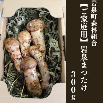 ふるさと納税 岩泉町 [2026秋発送]≪ご家庭用に≫ 岩泉まつたけ 300g