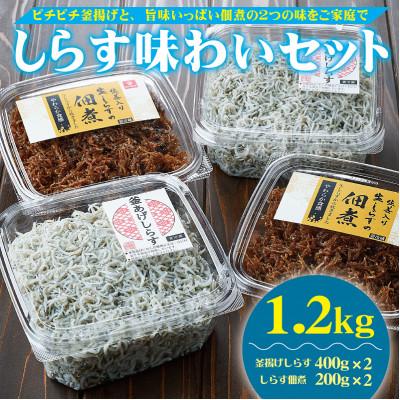 ふるさと納税 有田市 しらす味わいセット(釜あげしらす800g・しらすの佃煮400g)1.2kg
