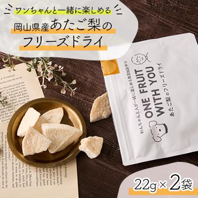ふるさと納税 真庭市 [きよとうファーム]フリーズドライ(あたご梨)22g×2袋(岡山県産)