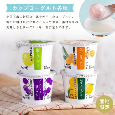 ふるさと納税 小美玉市 おみたまヨーグルト&プリン バラエティーセット　合計23点 |  | 03