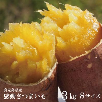ふるさと納税 南大隅町 [先行予約]熟成紅はるか『感動さつまいも』Sサイズ3キロ 鹿児島県産