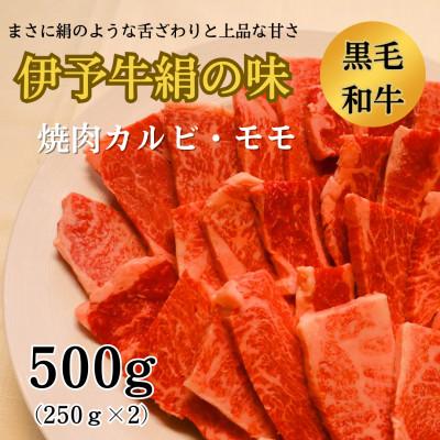 ふるさと納税 西条市 伊予牛絹の味 焼肉用カルビ・モモ500g(250g×2)