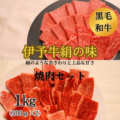 ふるさと納税 西条市 ★焼肉食べ比べセット★ 伊予牛絹の味 焼肉用ロース500,カルビ・モモ500g