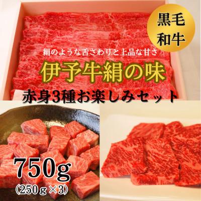 ふるさと納税 西条市 ★人気の赤身★ 伊予牛絹の味 赤身3種 お楽しみセット (サイコロステーキ&amp;すき焼き&amp;焼肉)