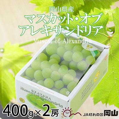 ふるさと納税 浅口市 [2026年8月下旬より順次発送]岡山県産 マスカット・オブ・アレキサンドリア 400g×2房