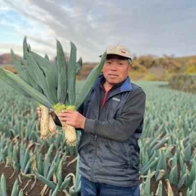 ふるさと納税 下仁田町 [訳あり]伝統農法を守り続け、栄養・風味・甘さが自慢の下仁田葱 Sサイズ15本 約2kg